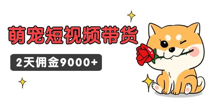 （9273期）东哲日记·萌宠短视频带货，2天佣金9000+-千寻创业网