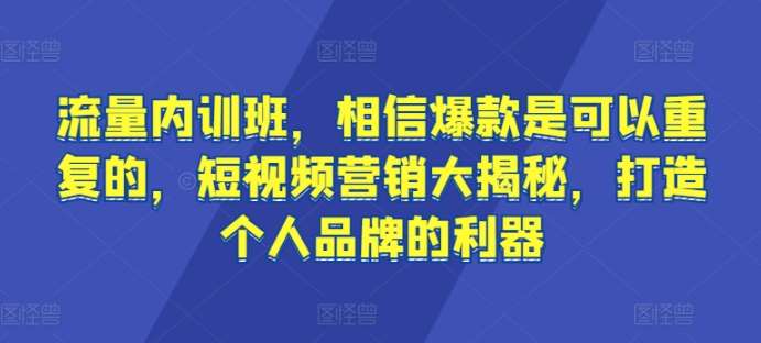 流量内训班，相信爆款是可以重复的，短视频营销大揭秘，打造个人品牌的利器-千寻创业网