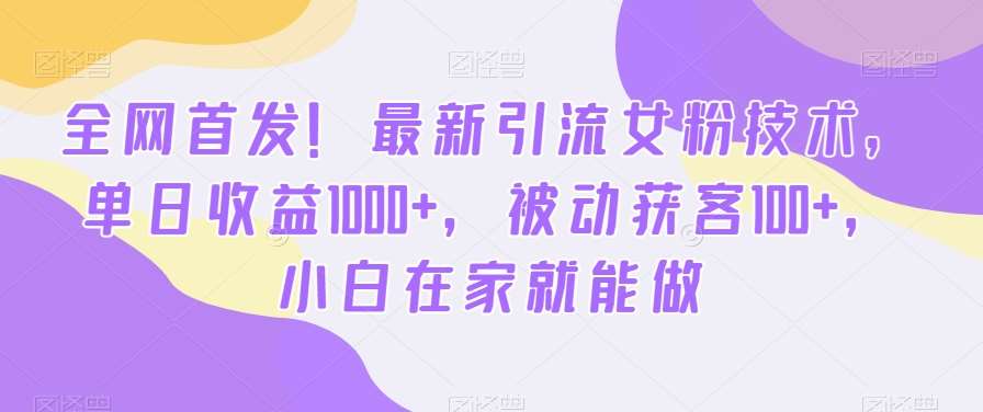 全网首发！最新引流女粉技术，单日收益1000+，被动获客100+，小白在家就能做【揭秘】-千寻创业网