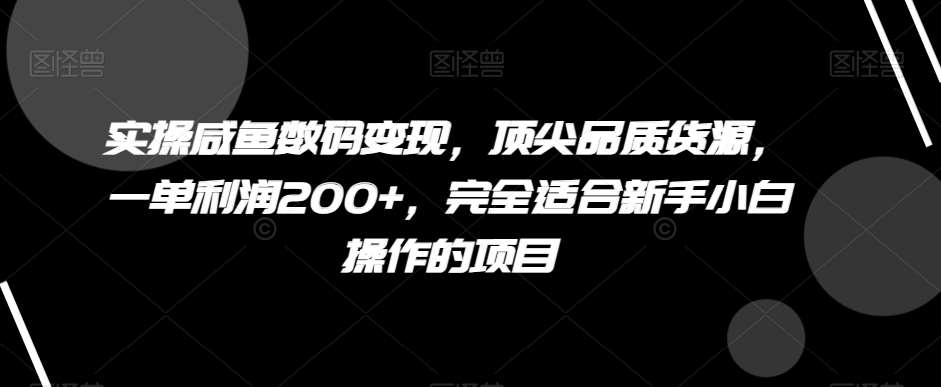 实操咸鱼数码变现，顶尖品质货源，一单利润200+，完全适合新手小白操作的项目【揭秘】-千寻创业网