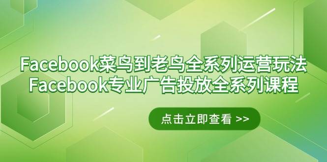 （9064期）Facebook-菜鸟到老鸟全系列运营玩法+Facebook-专业广告投放全系列课程-千寻创业网
