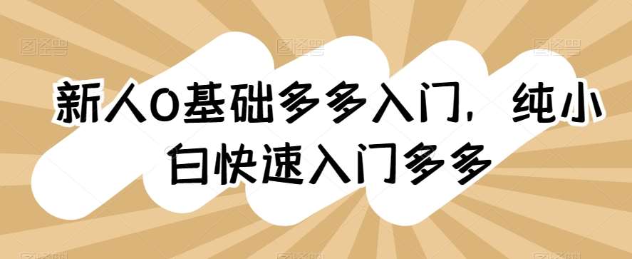 新人0基础多多入门，​纯小白快速入门多多-千寻创业网