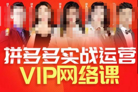 推易拼多多VIP全套直播课程，拼多多店铺实操玩法+实战玩法选款内功+直通车高阶等-千寻创业网