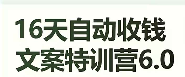 16天自动收钱文案特训营6.0，学会儿每天自动咔咔收钱-千寻创业网