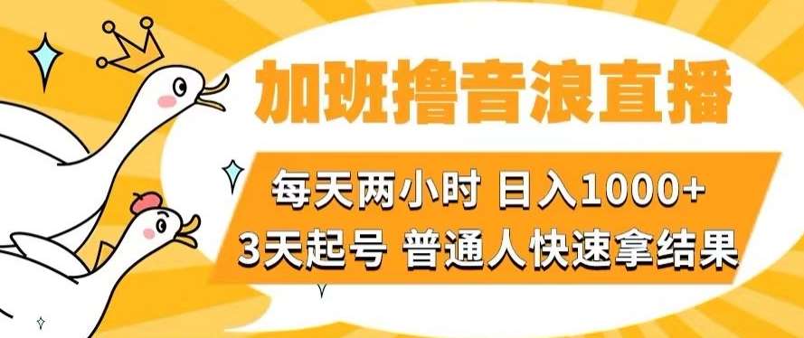 加班撸音浪直播，每天两小时，日入1000+，直播话术才3句，3天起号，普通人快速拿结果【揭秘】-千寻创业网