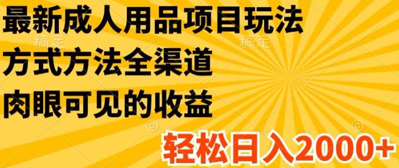 最新成人用品项目玩法，方式方法全渠道，轻松日入2K+【揭秘】-千寻创业网