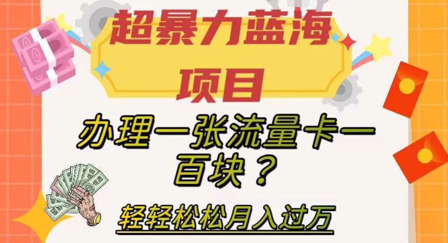 超暴力蓝海项目，办理一张流量卡一百块？轻轻松松月入过万，保姆级教程【揭秘】-千寻创业网