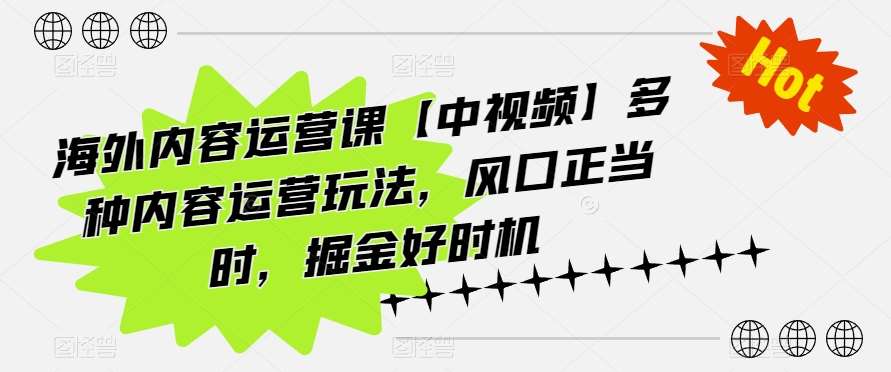 海外内容运营课【中视频】多种内容运营玩法，风口正当时，掘金好时机-千寻创业网