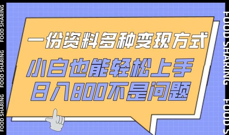 一份资料多种变现方式，小白也能轻松上手，日入800不是问题【揭秘】-千寻创业网