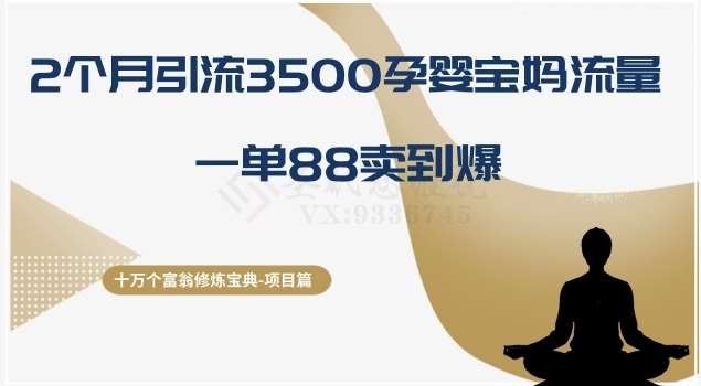十万个富翁修炼宝典之13.2个月引流3500孕婴宝妈流量，一单88卖到爆-千寻创业网