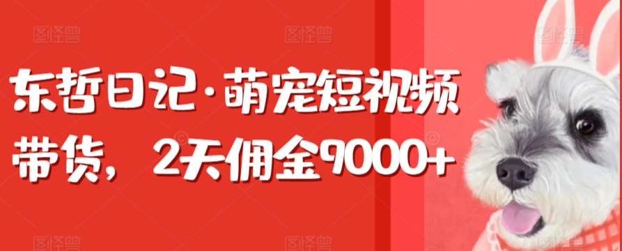 东哲日记·萌宠短视频带货，2天佣金9000+-千寻创业网