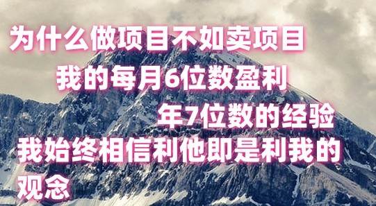 做项目不如卖项目，每月6位数盈利，年7位数经验-千寻创业网