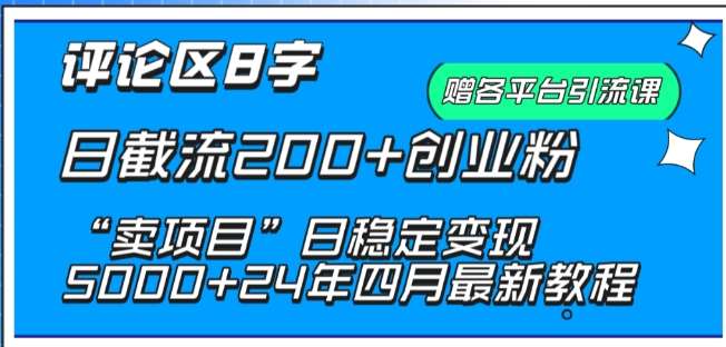 抖音评论区8字日截流200+创业粉 “卖项目”日稳定变现5000+【揭秘】-千寻创业网