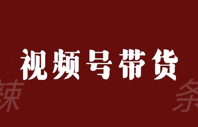 视频号带货联盟，赚信息差的带货钱，只需手机随时随地都可以做！-千寻创业网