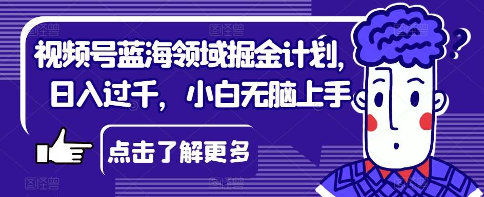 视频号蓝海领域掘金计划，日入过千，小白无脑上手【揭秘】-千寻创业网