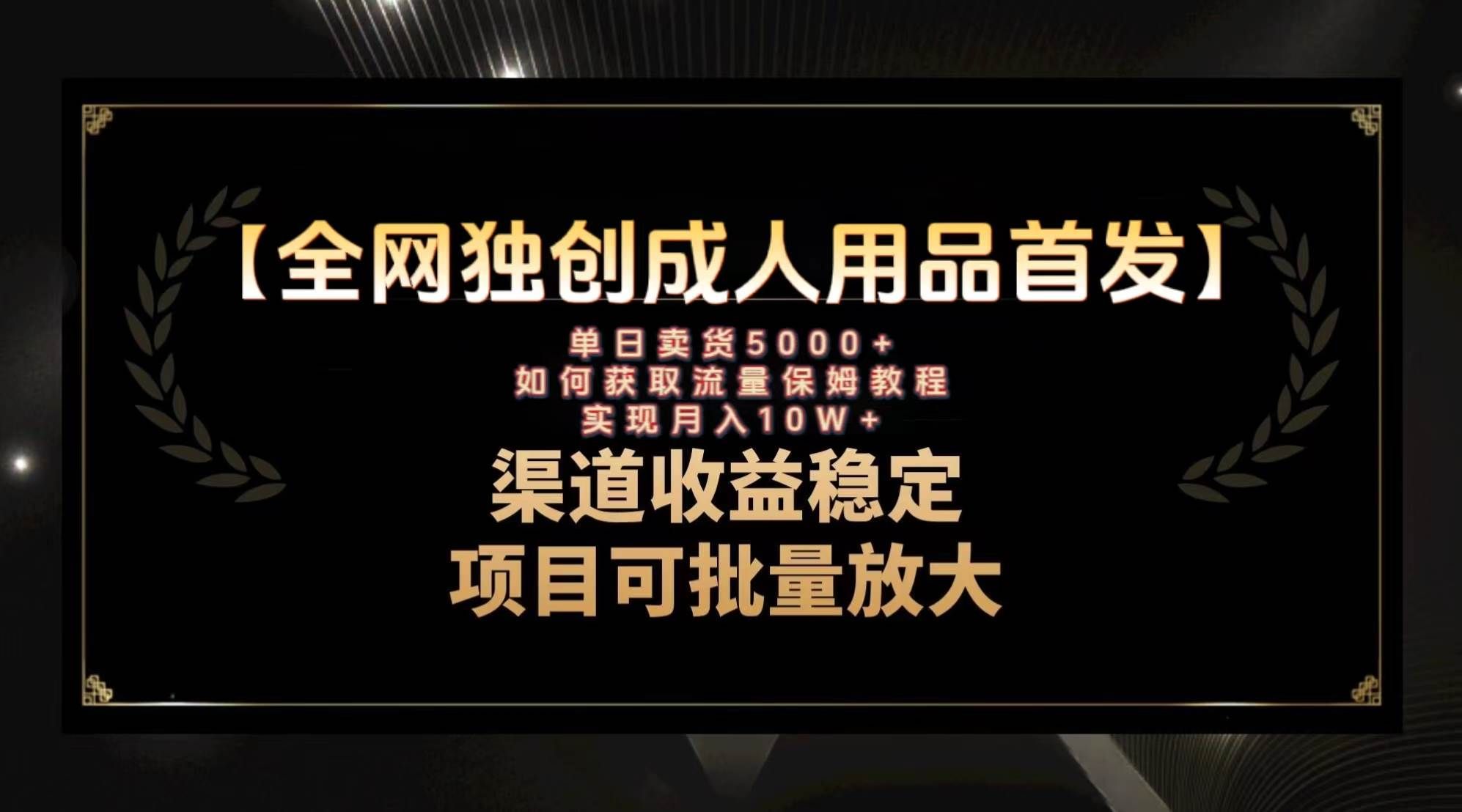 （8128期）最新全网独创首发，成人用品赛道引流获客，月入10w保姆级教程-千寻创业网