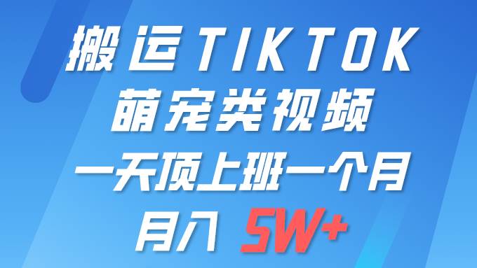 （9931期）一键搬运TIKTOK萌宠类视频 一部手机即可操作 所有平台均可发布 轻松月入5W+-千寻创业网