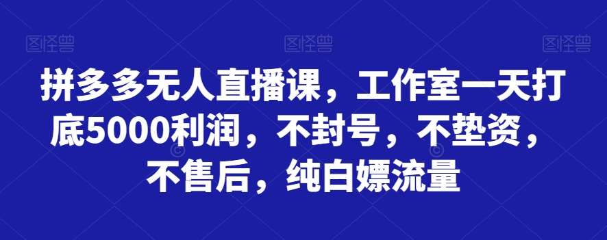 拼多多无人直播课，工作室一天打底5000利润，不封号，不垫资，不售后，纯白嫖流量-千寻创业网