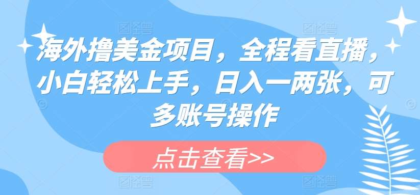 海外撸美金项目，全程看直播，小白轻松上手，日入一两张，可多账号操作【揭秘】-千寻创业网
