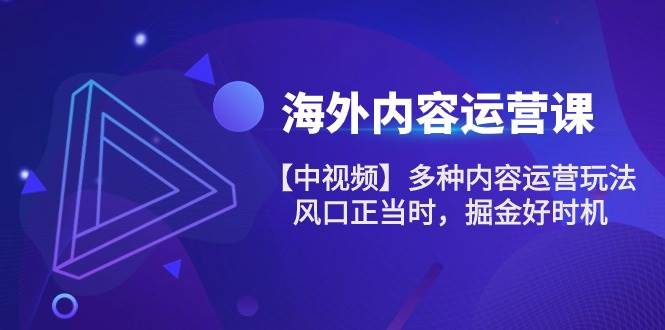 （10833期）海外内容 运营课【中视频】多种内容运营玩法 风口正当时 掘金好时机-101节-千寻创业网