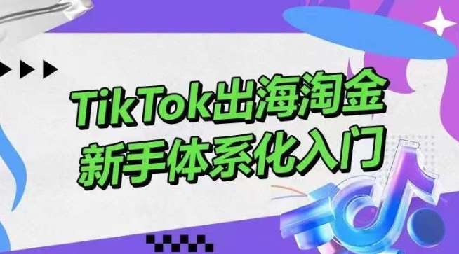 TikTok出海淘金，新手体系化入门，零基础快速入门，掌握短视频、直播带货等引流到变现的知识-千寻创业网