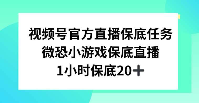 视频号直播任务，微恐小游戏，1小时20+【揭秘】-千寻创业网
