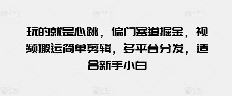 玩的就是心跳，偏门赛道掘金，视频搬运简单剪辑，多平台分发，适合新手小白【揭秘】-千寻创业网