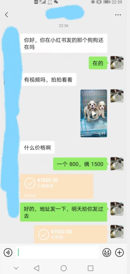 图片[2]-外边收费3980的同城萌宠项目，用最冷门的玩法冲击最热门的市场【揭秘】-千寻创业网