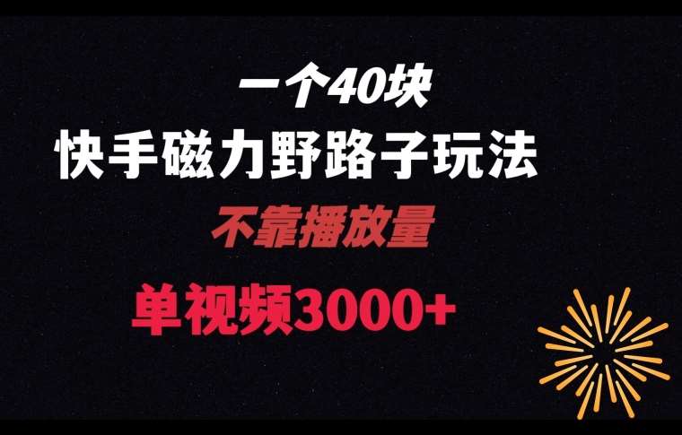 一个40块，快手联合美团磁力新玩法，无视机制野路子玩法，单视频收益4位数【揭秘】-千寻创业网