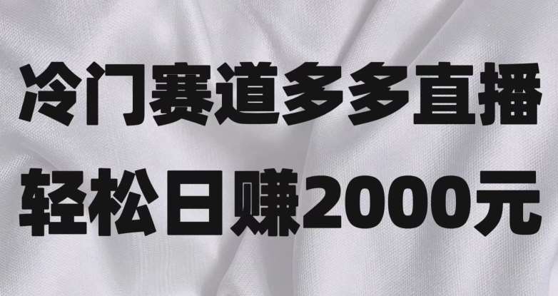 冷门赛道拼多多直播，简单念稿子，日收益2000＋【揭秘】-千寻创业网