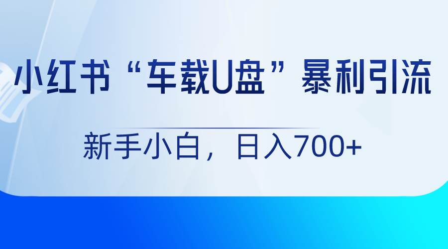 小红书“车载U盘”项目，暴利引流，新手小白轻松日入700+-千寻创业网