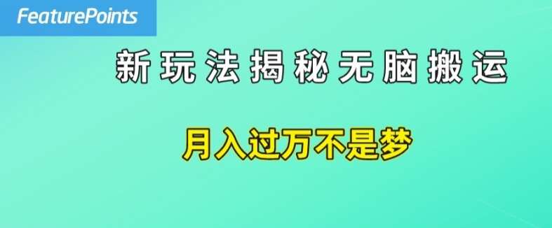 简单操作，每天50美元收入，搬运就是赚钱的秘诀【揭秘】-千寻创业网