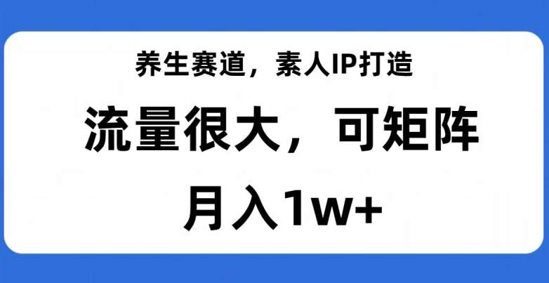 养生赛道，素人IP打造，流量很大，可矩阵，月入1w+【揭秘】-千寻创业网