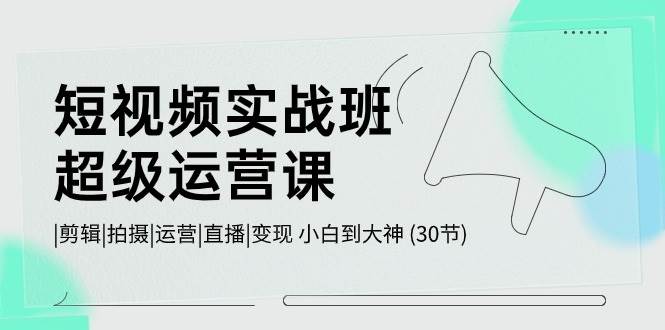 短视频实战班超级运营课 |剪辑|拍摄|运营|直播|变现 小白到大神 (30节)-千寻创业网