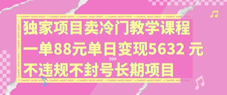独家项目卖冷门教学课程一单88元单日变现5632元违规不封号长期项目【揭秘】-千寻创业网