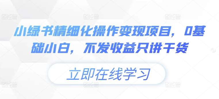 小绿书精细化操作变现项目，0基础小白，不发收益只讲干货-千寻创业网