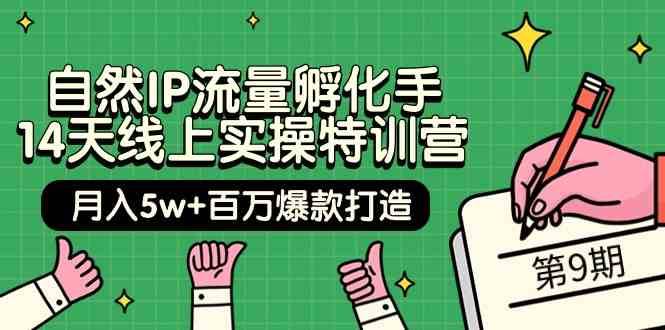 自然IP流量孵化手14天线上实操特训营【第9期】月入5w+百万爆款打造 (74节)-千寻创业网