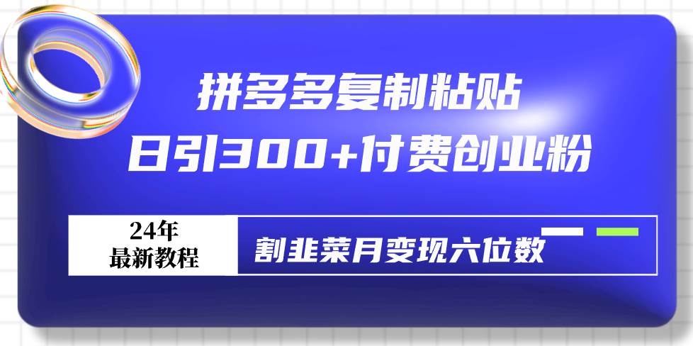 （9129期）拼多多复制粘贴日引300+付费创业粉，割韭菜月变现六位数最新教程！-千寻创业网