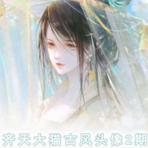 齐天大猫古风头像课第2期，帮助您提高您的绘画技能-千寻创业网