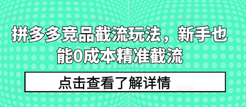 拼多多竞品截流玩法，新手也能0成本精准截流-千寻创业网