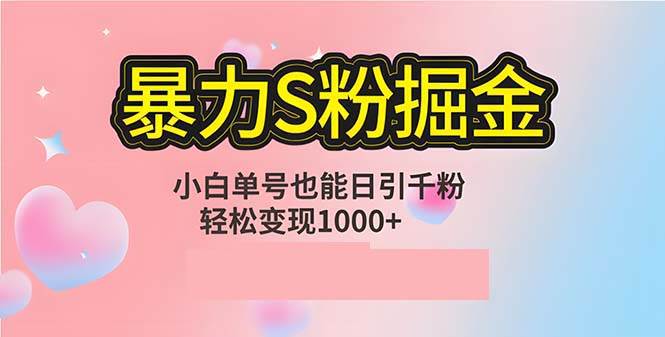 （12778期）单人单机日引千粉，变现1000+，S粉流量掘金计划攻略-千寻创业网