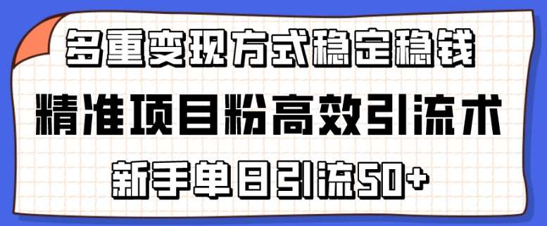 精准项目粉高效引流术，新手单日引流50+，多重变现方式稳定赚钱【揭秘】-千寻创业网