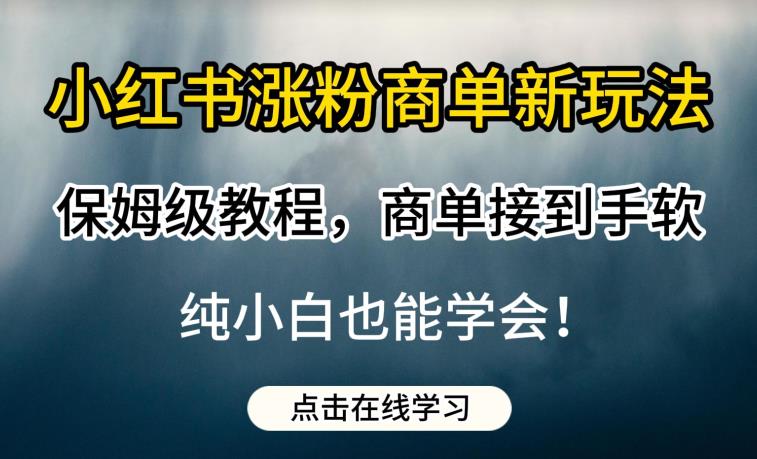 小红书涨粉商单新玩法，保姆级教程，商单接到手软，纯小白也能学会【揭秘】-千寻创业网