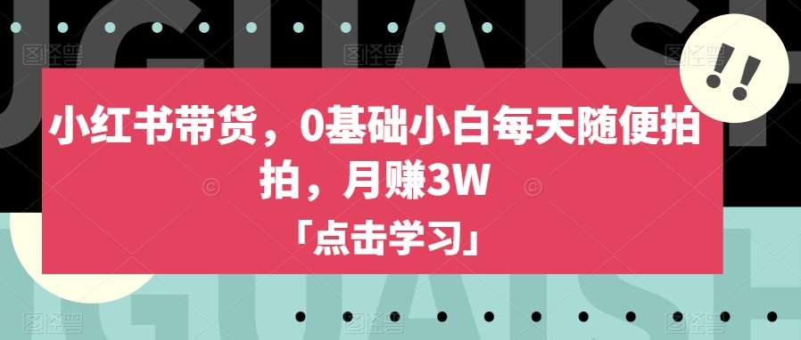 小红书带货，0基础小白每天随便拍拍，月赚3W【揭秘】-千寻创业网