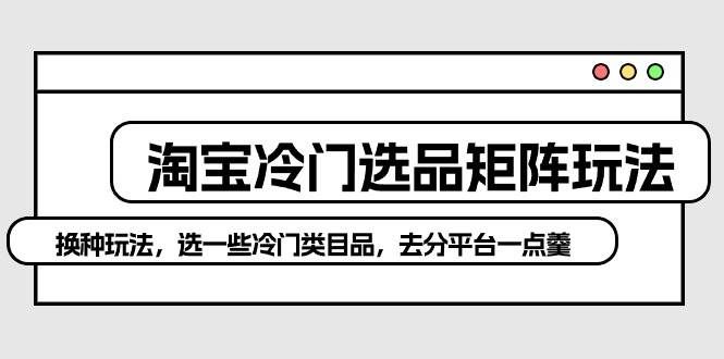 （10159期）淘宝冷门选品矩阵玩法：换种玩法，选一些冷门类目品，去分平台一点羹-千寻创业网