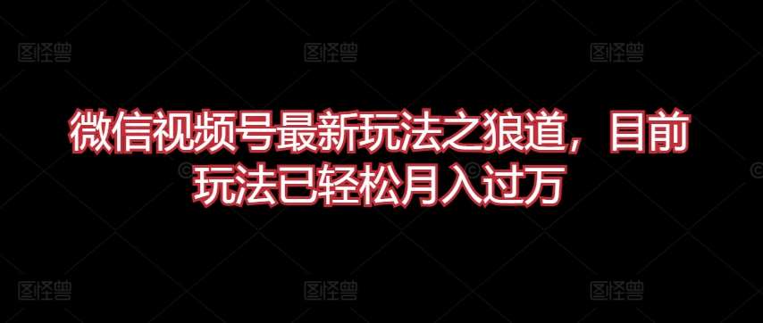 微信视频号最新玩法之狼道，目前玩法已轻松月入过万【揭秘】-千寻创业网