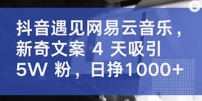 抖音遇见网易云音乐，新奇文案 4 天吸引 5W 粉，日挣1000+【揭秘】-千寻创业网