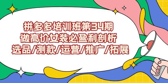 （9333期）拼多多培训班第34期：做高价女装必盈利剖析  选品/测款/运营/推广/拓展-千寻创业网