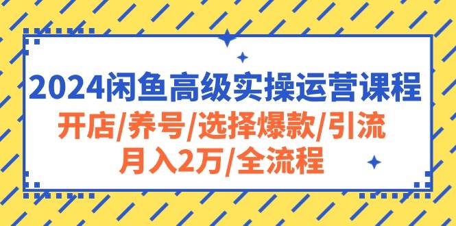（10711期）2024闲鱼高级实操运营课程：开店/养号/选择爆款/引流/月入2万/全流程-千寻创业网