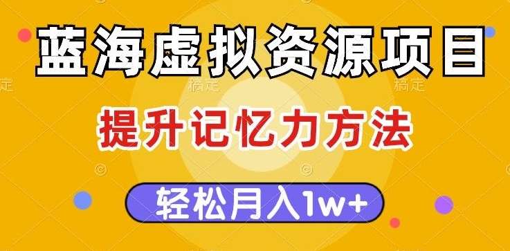 蓝海虚拟资源项目，提升记忆力方法，多种变现方式，轻松月入1w+【揭秘】-千寻创业网